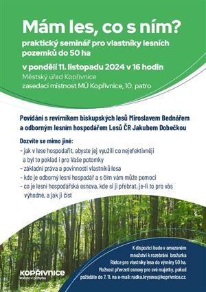 Mám les, co s ním?