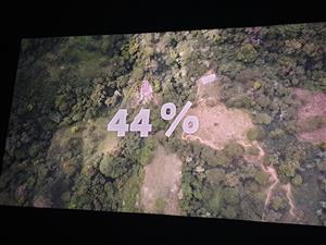 Film, kafe a jednohubka 6