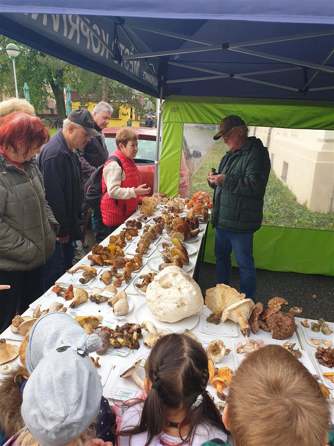 Říjnový farmářský trh s doprovodným programem 10