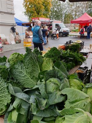 Říjnový farmářský trh s doprovodným programem 6