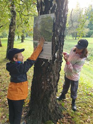 Výstava na stromech 3
