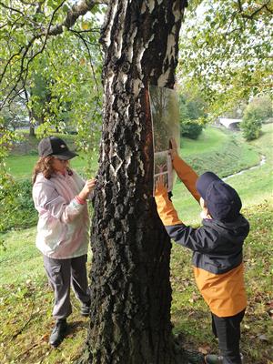 Výstava na stromech 2