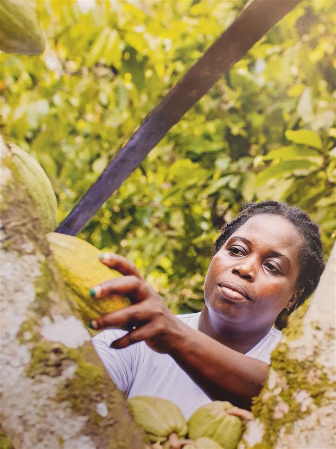 Výstava na stromech 1