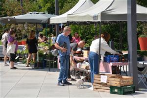 Farmářský trh, červen 4