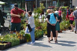 Farmářský trh, červen 3