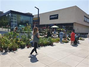 Farmářský trh, červen 1