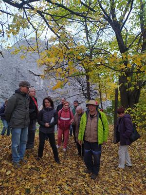 Keře, plody, kořeny - procházka s bylinkářem 4