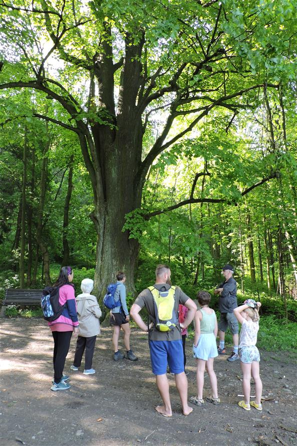 KOPRtoUR Vycházky do přírody s odborníky 2