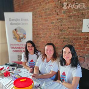 Zdravíčko a mykologická poradna na IV farmářském trhu  8