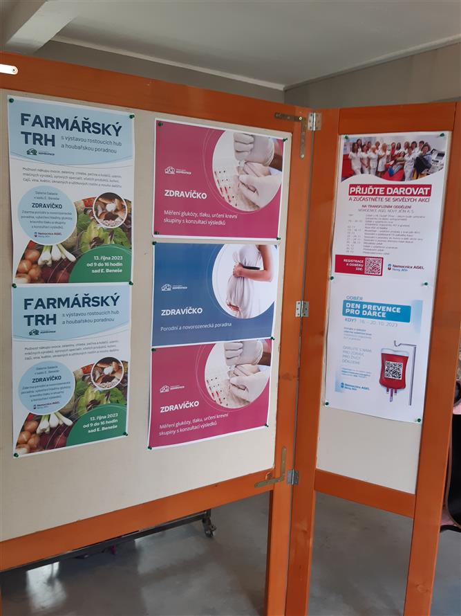 Zdravíčko a mykologická poradna na IV farmářském trhu  4