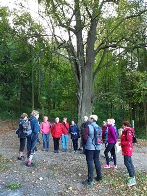 KOPRtoUR Lesní mysl 9