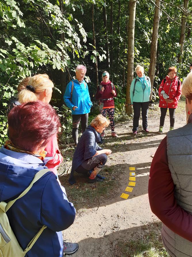 KOPRtoUR Lesní mysl 6