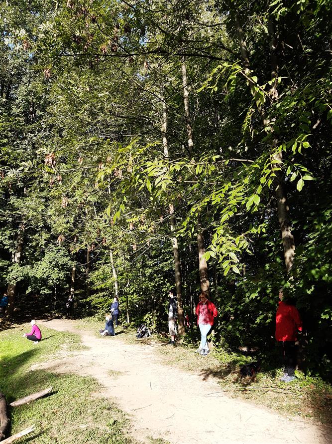 KOPRtoUR Lesní mysl 5