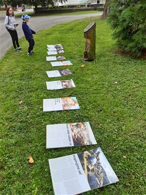 Výstava na stromech 5