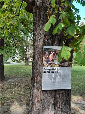 Výstava na stromech 3