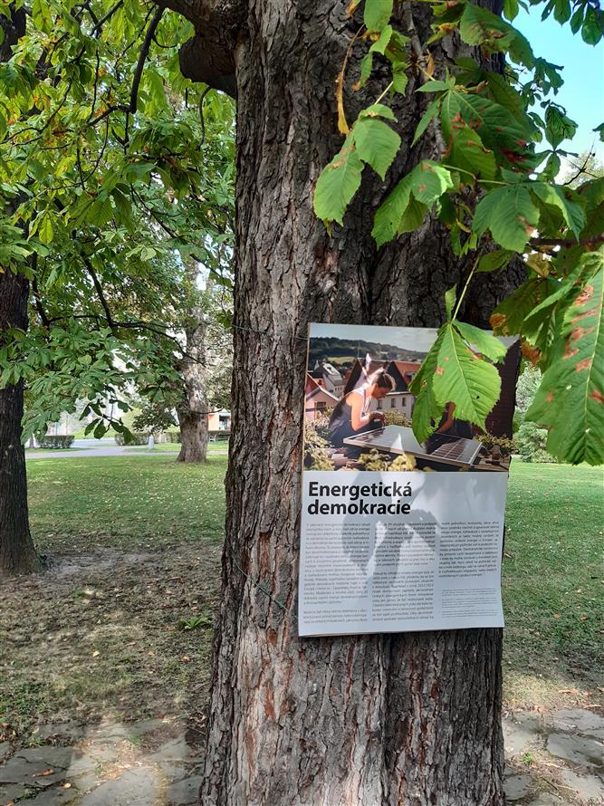 Výstava na stromech 3