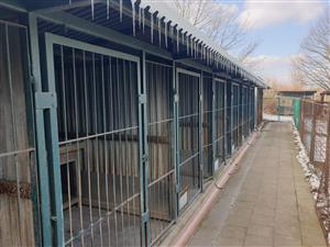 Kulatý stůl na téma Psí útulek Kopřivnice 8