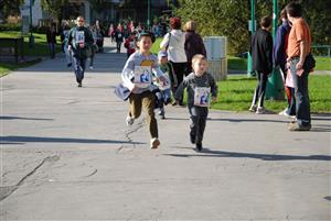 LID201009180831432010