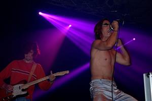 17 - nesselsdorf (dm)