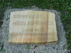 Strom20080822085238001