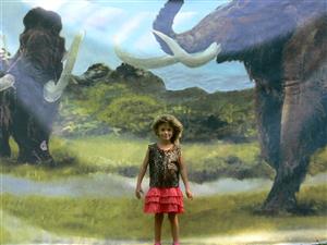 Strom20080822095649052