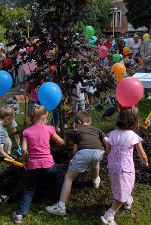 Strom20080822101430075