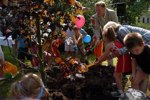 Strom20080822101626092