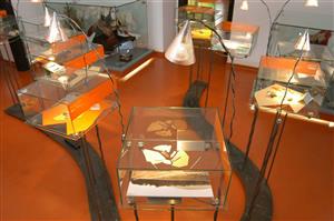 Plujte řekou času – historie Kopřivnice