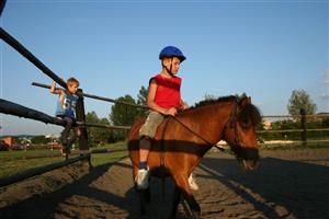 Koně - Bubla city Ranch