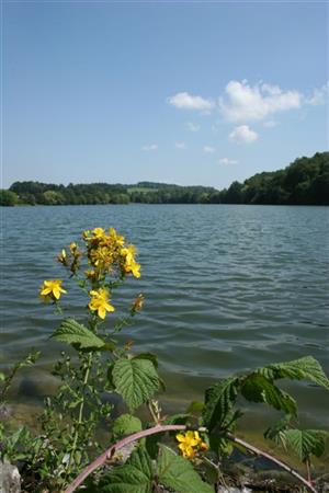 Větřkovická přehrada