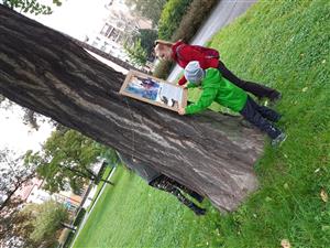 Výstava na stromech 2022 5