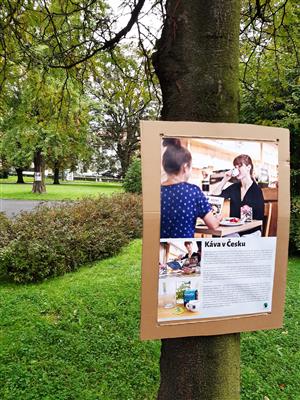 Výstava na stromech 2022 3