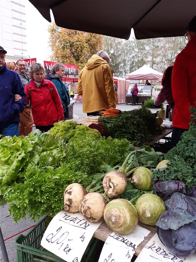 Podzimní dny zdraví (Farmářský trh, měření tělesných hodnot, mykologická poradna) 6