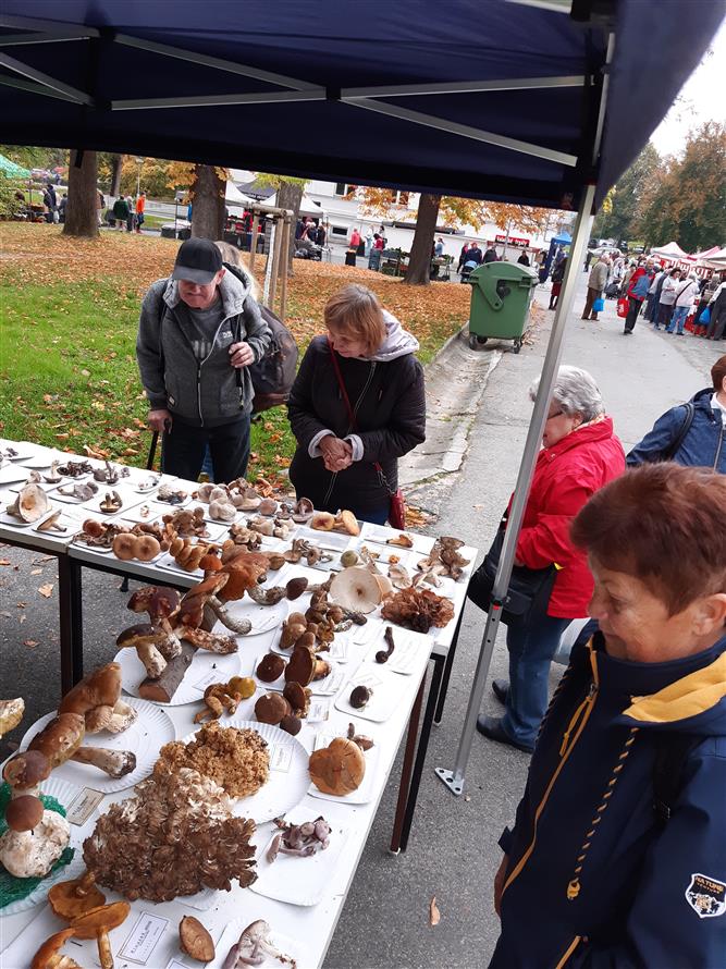 Podzimní dny zdraví (Farmářský trh, měření tělesných hodnot, mykologická poradna) 2