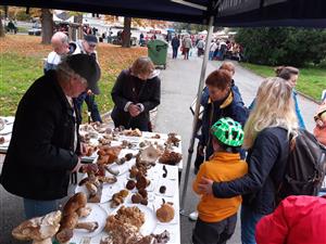 Podzimní dny zdraví (Farmářský trh, měření tělesných hodnot, mykologická poradna) 1