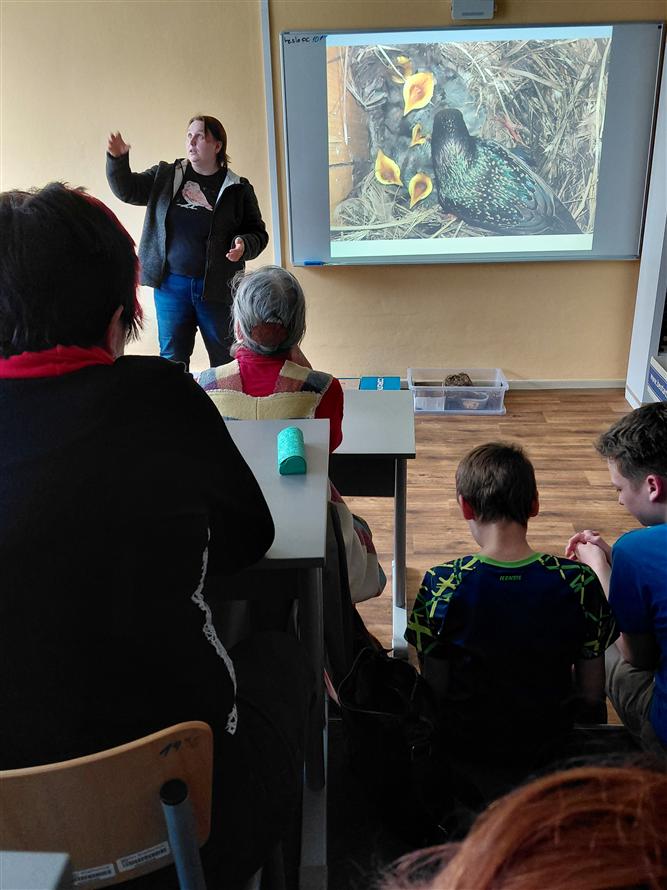 Kopřivnické budkování - projekt Rozmanitostí k rovnováze 1