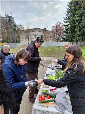 Probouzení zahrady - projekt Rozmanitostí k rovnováze 7