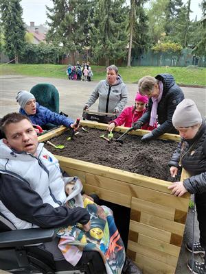Probouzení zahrady - projekt Rozmanitostí k rovnováze 5