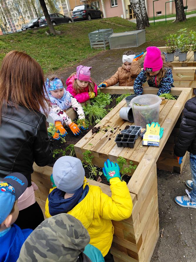 Probouzení zahrady - projekt Rozmanitostí k rovnováze 4