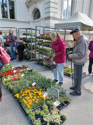 Fairtradový stan na květnovém farmářském trhu 7