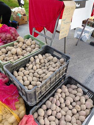 Fairtradový stan na květnovém farmářském trhu 3