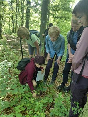 Za krásami místních orchidejí - projekt Rozmanitostí k rovnováze 13
