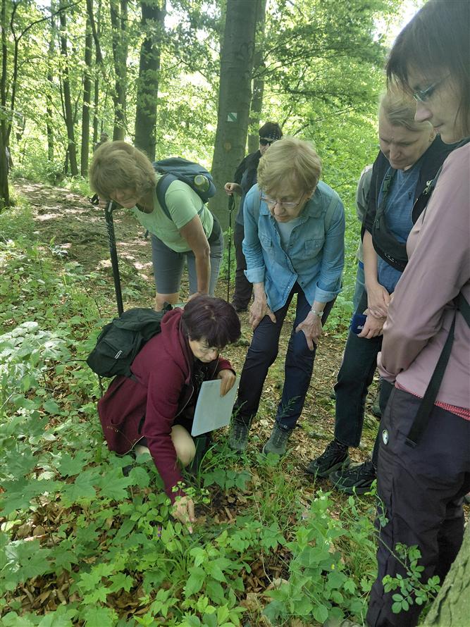 Za krásami místních orchidejí - projekt Rozmanitostí k rovnováze 13