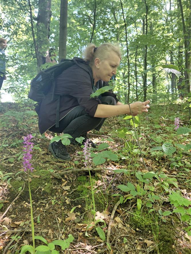 Za krásami místních orchidejí - projekt Rozmanitostí k rovnováze 2