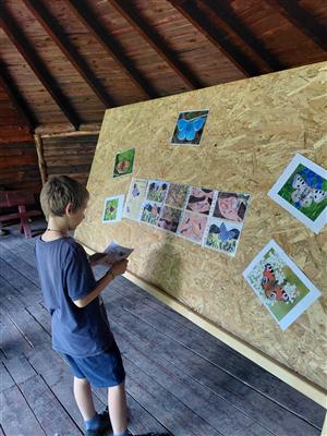 WORKSHOP sečení a naklepávání kosy - projekt Rozmanitostí k rovnováze 8