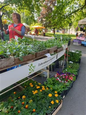 Fairtradový stan na květnovém farmářském trhu 24
