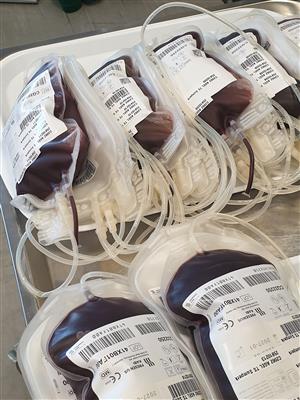 Daruj krev se Zdravým městem Kopřivnice - mobilní odběrový tým na radnici II 4