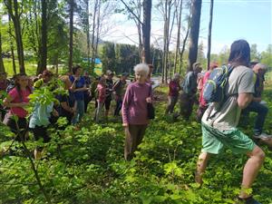 Měsíc pro zemi - Léčivá síla kamenů a bylin 13