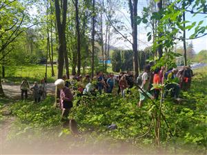 Měsíc pro zemi - Léčivá síla kamenů a bylin 12