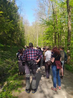 Měsíc pro zemi - Léčivá síla kamenů a bylin 11